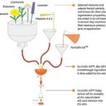 Formulation-of-Bio-Oil